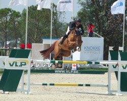 jumper Franka Trichta (KWPN (Royal Dutch Sporthorse), 2010, from Azteca VDL)