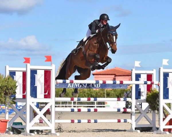 jumper Fidin (KWPN (Royal Dutch Sporthorse), 2010, from Gaillard de La Pomme)