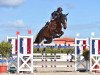 jumper Fidin (KWPN (Royal Dutch Sporthorse), 2010, from Gaillard de La Pomme)