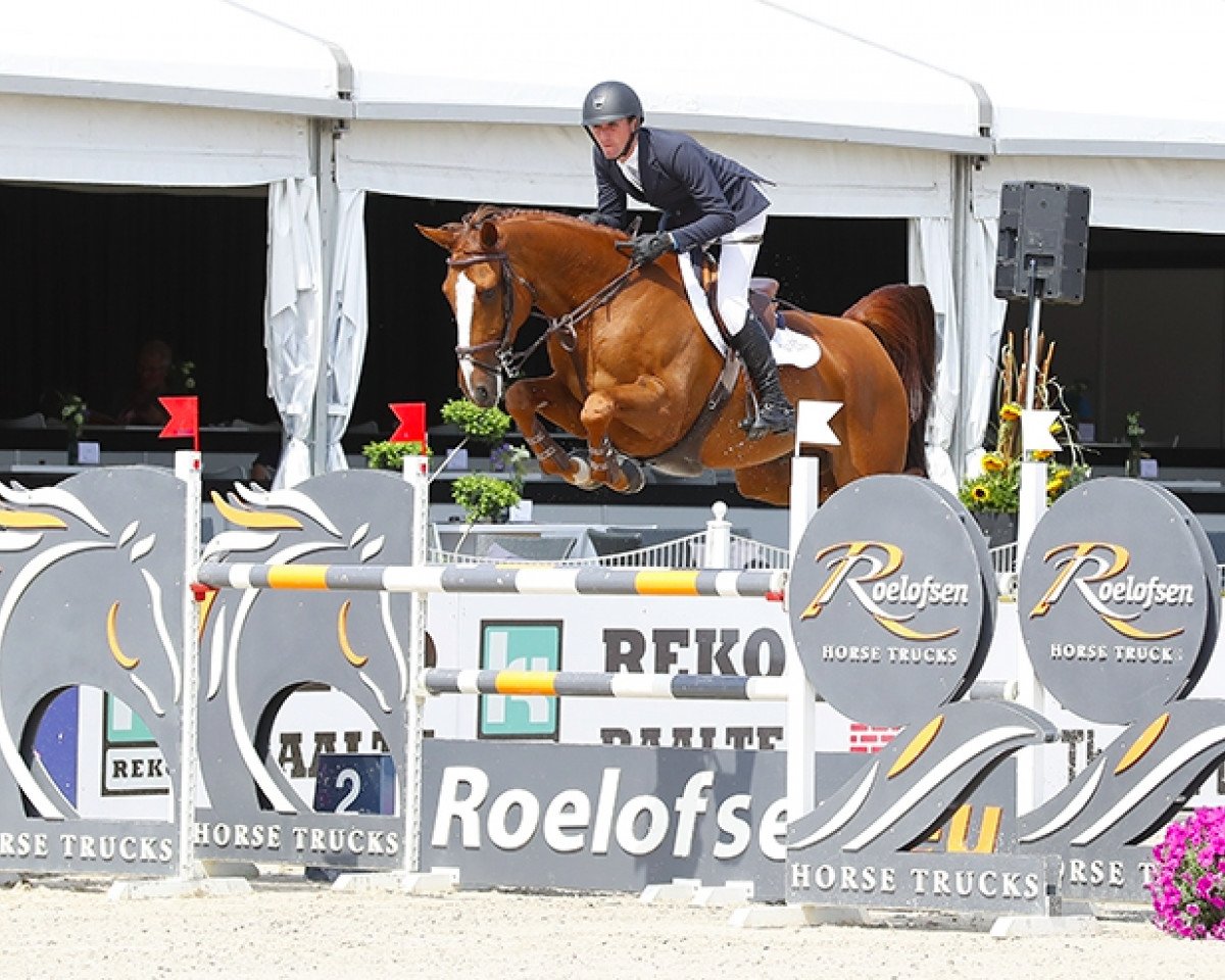 jumper Abc Private Jet (Irish horse, 2012, from J'taime flamenco)