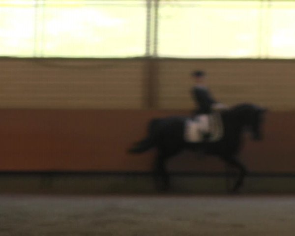Reitturnier Hellefeld 2017