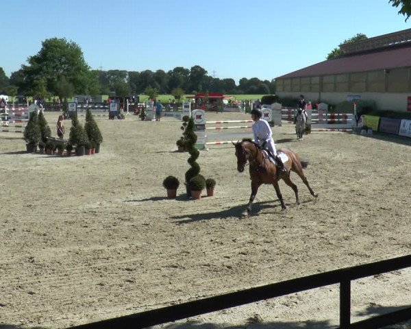 Reitturnier Kirchhellen/Stall Dieckmann 2017