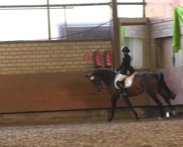 Reitturnier Hellefeld 2017
