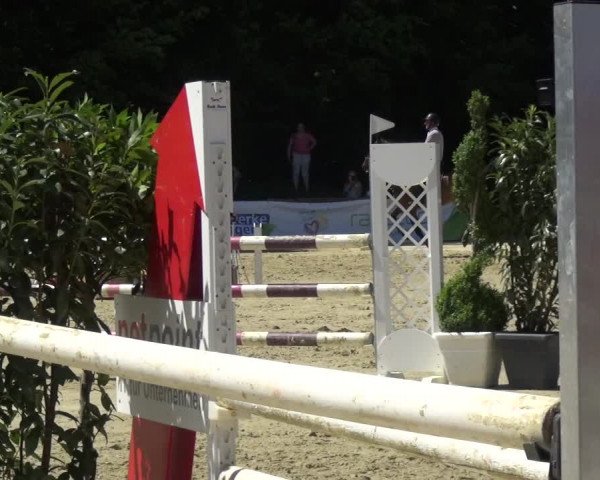 Reitturnier Ratingen-Lintorf 2017