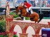 jumper Catch Me If You Can (Oldenburg show jumper, 2008, from Catoki)