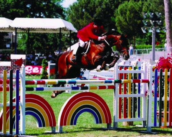 stallion Mezcalero (KWPN (Royal Dutch Sporthorse), 1987, from Voltaire)