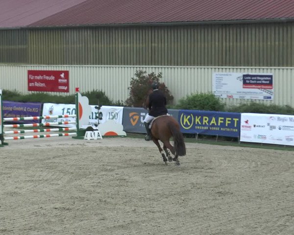 Reitturnier Kirchhellen/Stall Dieckmann 2017