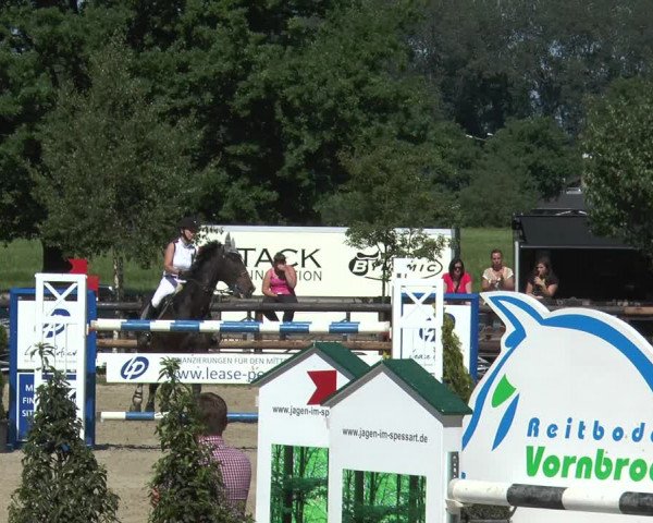 Reitturnier Kirchhellen/Stall Dieckmann 2017