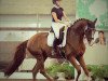 dressage horse Quintin WF (Westphalian, 2012, from Quaterhall)