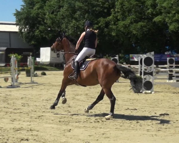 Reitturnier Ratingen-Lintorf 2017