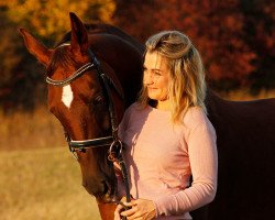 dressage horse Quentinio (Oldenburg, 2012, from Quadroneur)