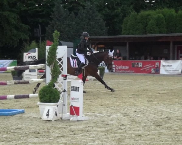 Reitturnier Ratingen-Lintorf 2017
