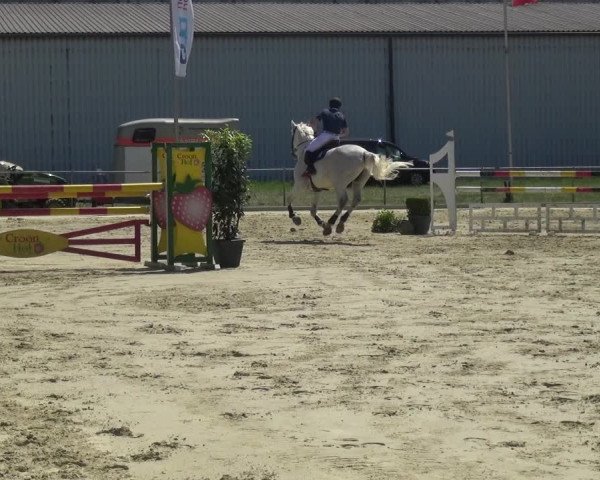 Reitturnier Ratingen-Lintorf 2017