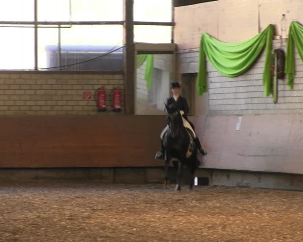 Reitturnier Hellefeld 2017
