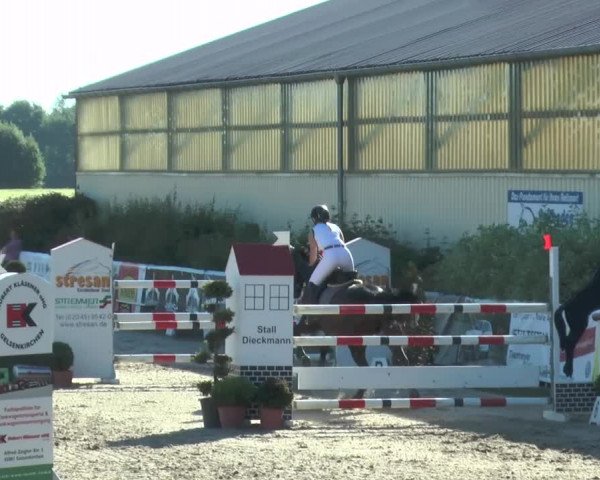 Reitturnier Kirchhellen/Stall Dieckmann 2017
