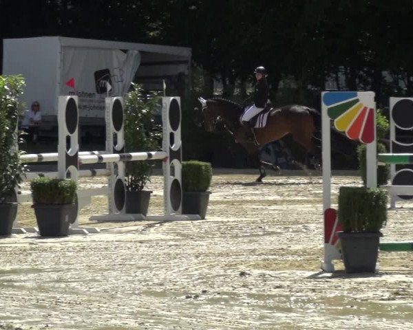 Reitturnier Ratingen-Lintorf 2017