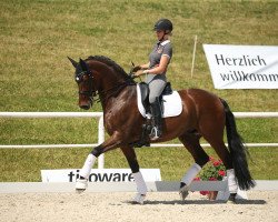 stallion Genesis 108 (KWPN (Royal Dutch Sporthorse), 2011, from Lord Leatherdale)