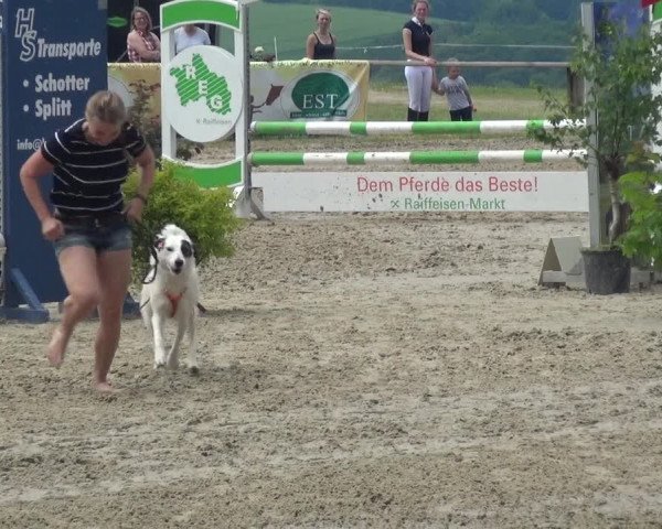 Reitturnier Burscheid-Paffenlöh 2017