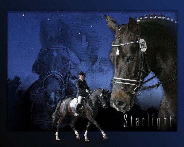 Zuchtstute Starlight (Westfale, 2002, von Show Star)