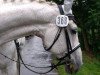 dressage horse Lotos 99 (Saxony-Anhaltiner, 1994, from Lacapo)