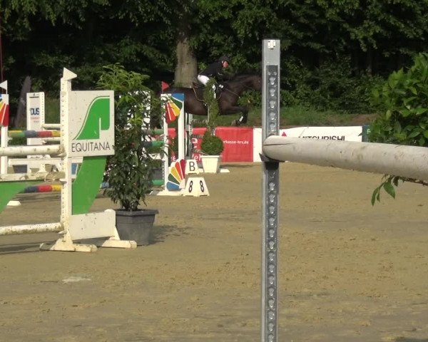 Reitturnier Ratingen-Lintorf 2017