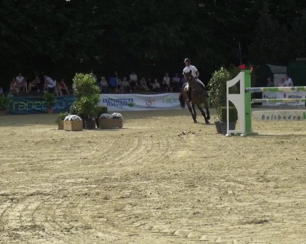 Reitturnier Ratingen-Lintorf 2017