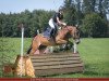 dressage horse Little Miss Lisa (New Forest Pony, 2011, from Woodrow Carisbrooke)