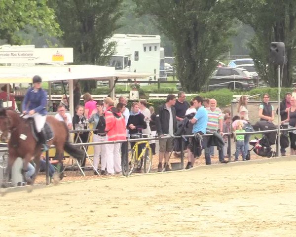 Reitturnier Hamm-Rhynern 2017