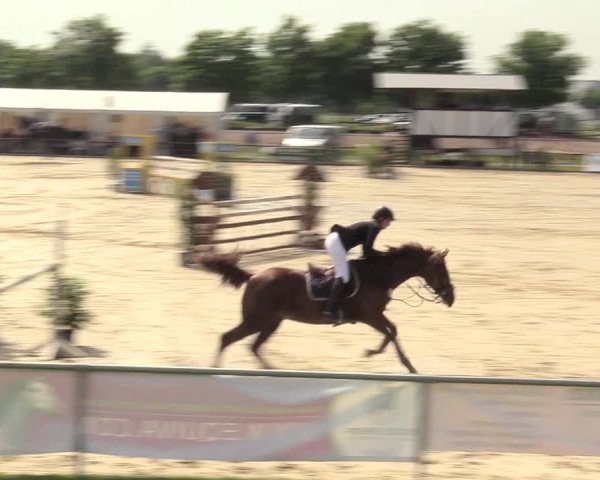 Reitturnier Hamm-Rhynern 2017