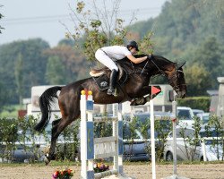 jumper Zoomumba (unknown, 2009)
