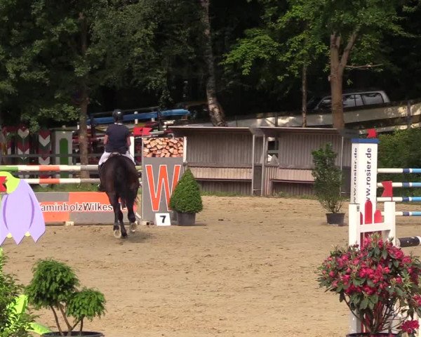 Reitturnier Iserlohn-Kalthof 2017