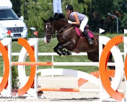 Zuchtstute Linchenka de Rothel CH (Schweizer Warmblut, 2005, von Landjuweel St Hubert)