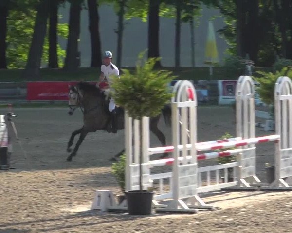 Reitturnier Mönchengladbach-Wickrath 2017