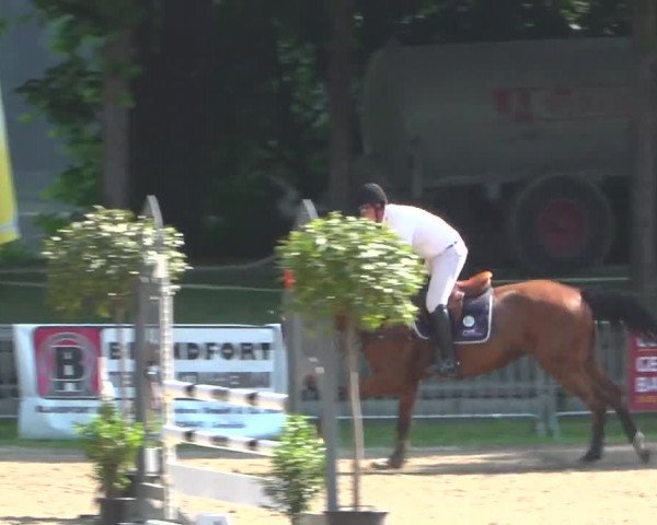 Reitturnier Mönchengladbach-Wickrath 2017