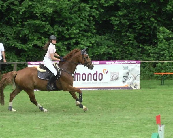 Reitturnier Jettingen 2017
