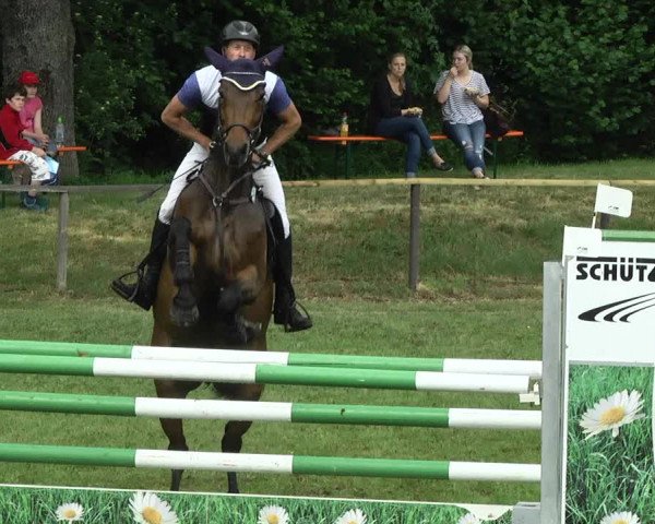 Reitturnier Jettingen 2017