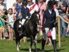 dressage horse Lyn as Fame (Welsh mountain pony (SEK.A), 2006, from Flevozicht's Darky)