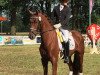 dressage horse Estoril 22 (Westphalian, 2014, from Estobar NRW)