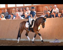 Springpferd Terra Alizée (Welsh-Cob (Sek. D), 2010, von Millstone Caerleon)