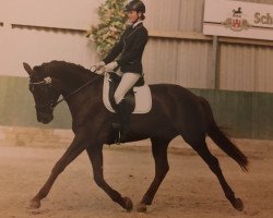 dressage horse Fräulein Hübsch (Hanoverian, 2012, from Fuechtels Floriscount OLD)