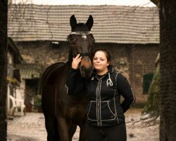 dressage horse Solist (Westphalian, 2005, from Sandro Hit)