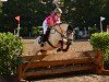 jumper Shalamar Tamara (Connemara Pony, 2007, from Bradlieve Delight)