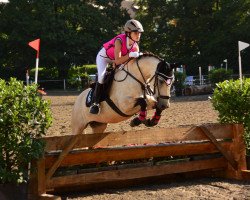 jumper Shalamar Tamara (Connemara Pony, 2007, from Bradlieve Delight)