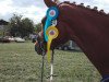 dressage horse Dancing Dorris (Hanoverian, 2014, from Don Nobless)