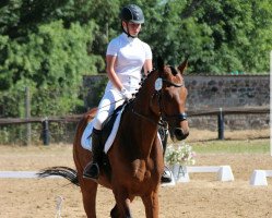 dressage horse Invito (Hanoverian, 2006, from Insterburg TSF)