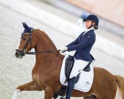 dressage horse Reedborder Amazing (Welsh, 2008, from Bodo)