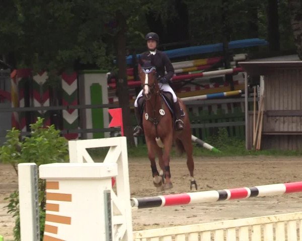 Reitturnier Iserlohn-Kalthof 2017