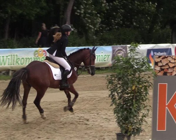 Reitturnier Iserlohn-Kalthof 2017