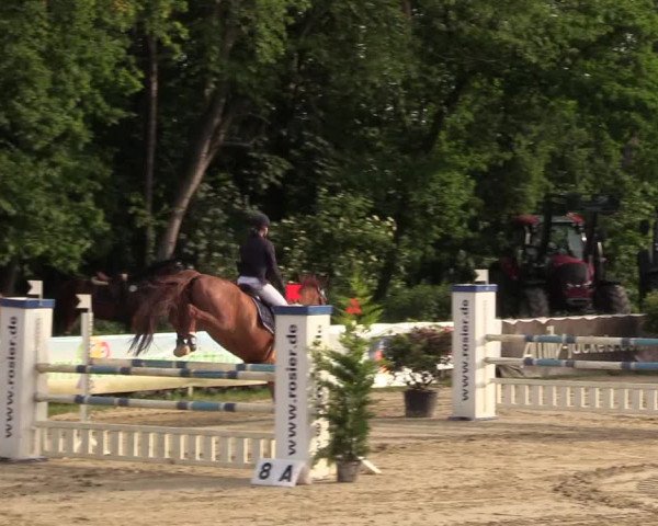 Reitturnier Iserlohn-Kalthof 2017