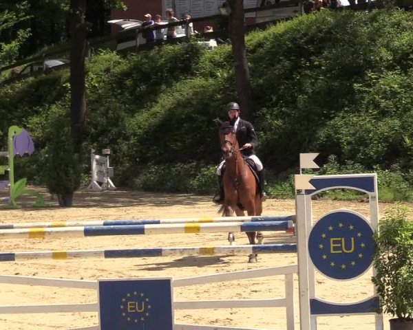 Reitturnier Iserlohn-Kalthof 2017